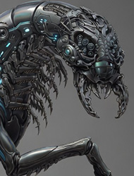 ������ ��� Scutigera / ���������� �������