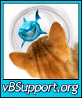 Аватар для vBSupport