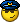 Icon Police